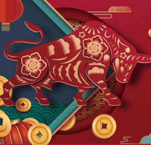 2021，加油干就是了！